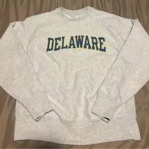 Champion Reverse Weave USA製 Delaware Vintage Champion Reverseweave University Of Delaware Hoodie